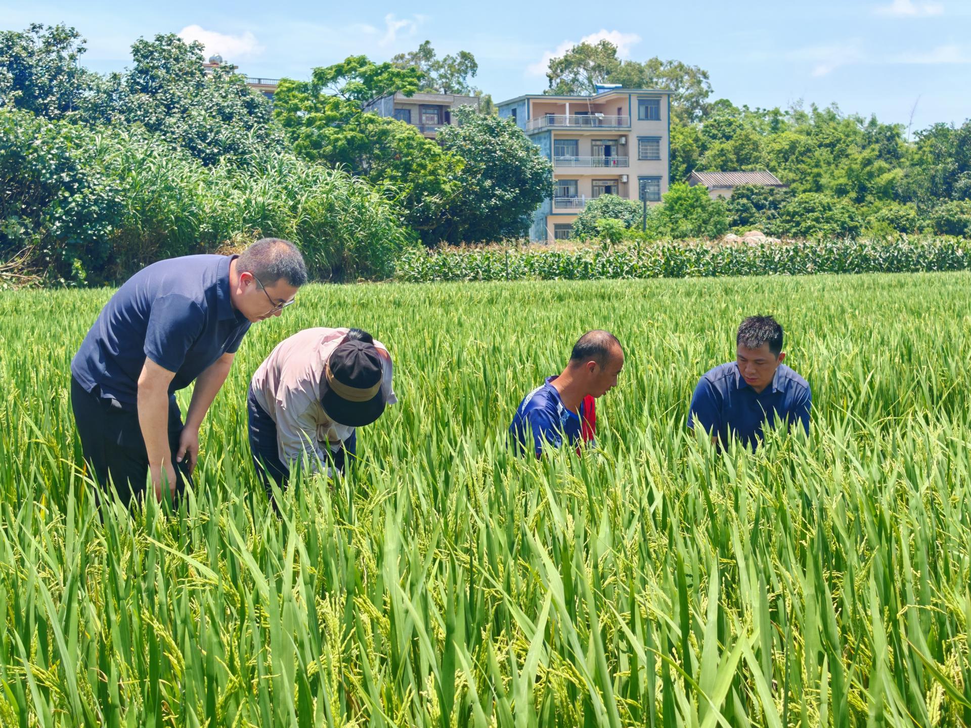 澳门新威斯尼斯人平台