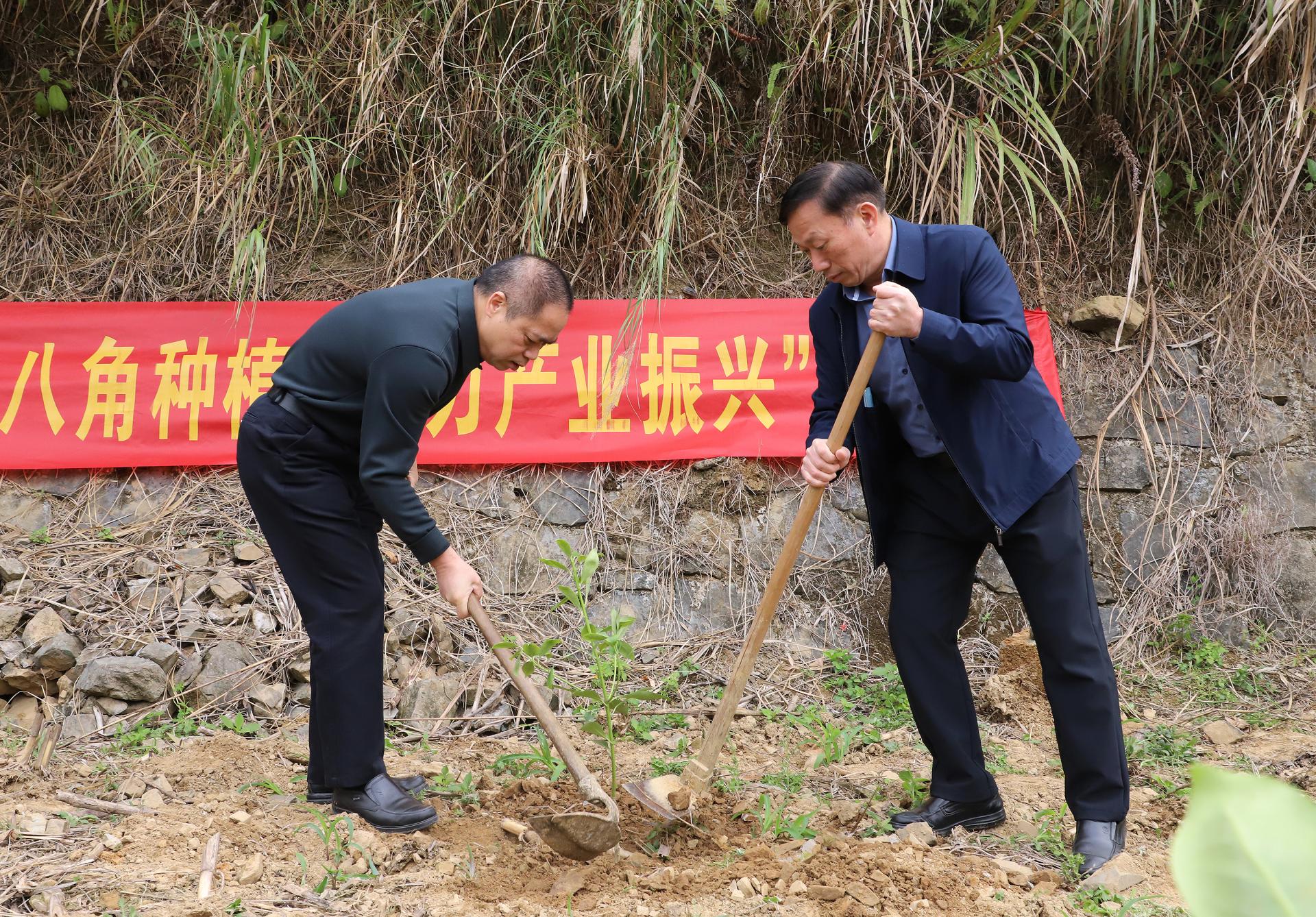 澳门新威斯尼斯人平台