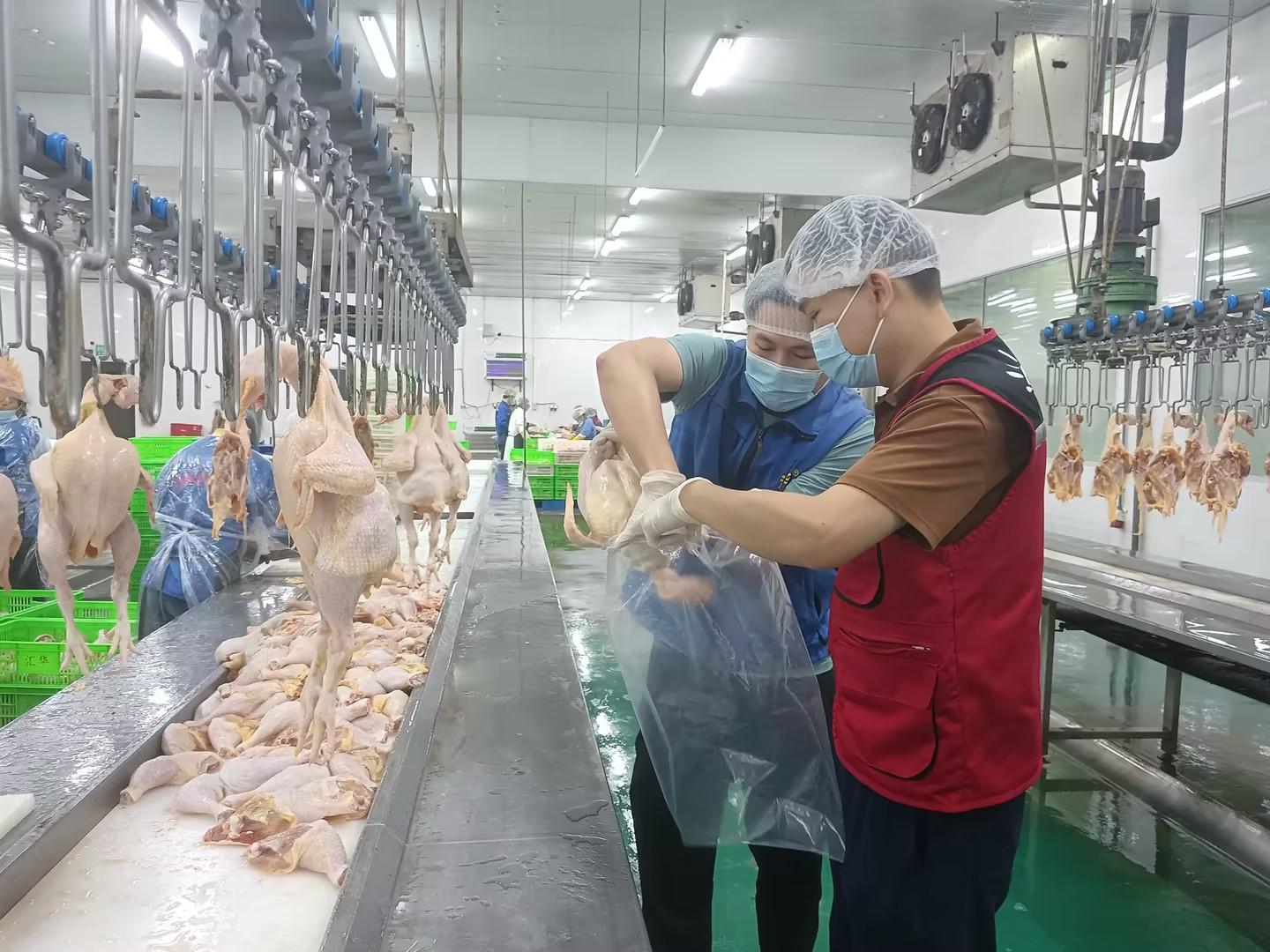 澳门新威斯尼斯人平台