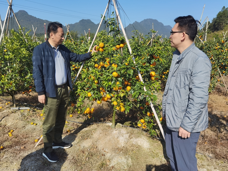 澳门新威斯尼斯人平台