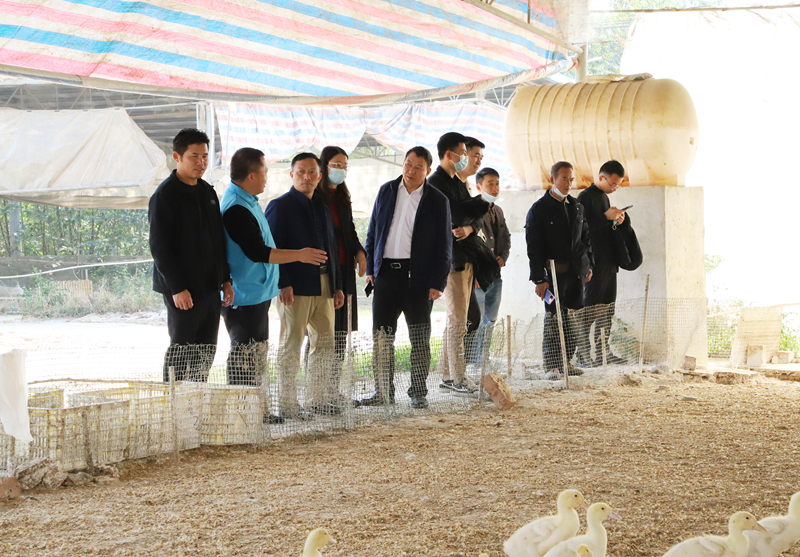 澳门新威斯尼斯人平台