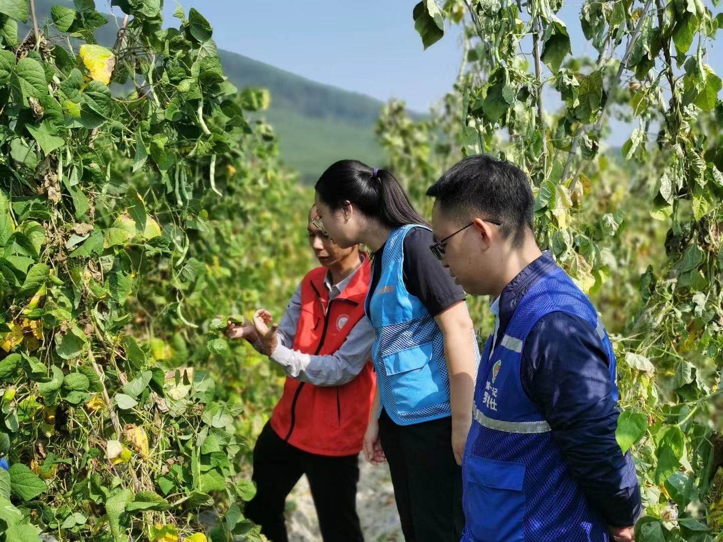 澳门新威斯尼斯人平台