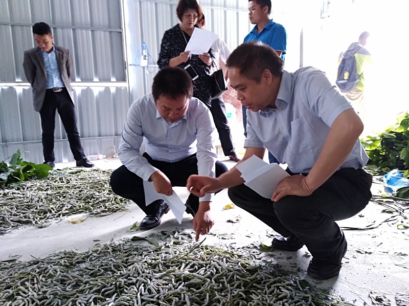 澳门新威斯尼斯人平台