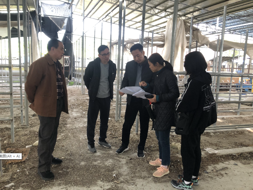 澳门新威斯尼斯人平台