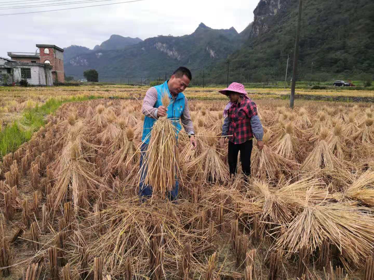澳门新威斯尼斯人平台