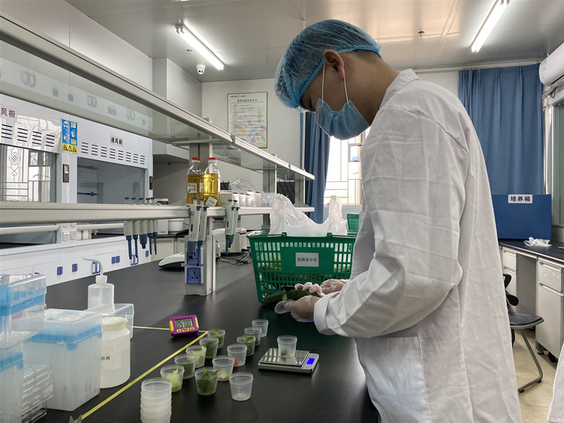 澳门新威斯尼斯人平台