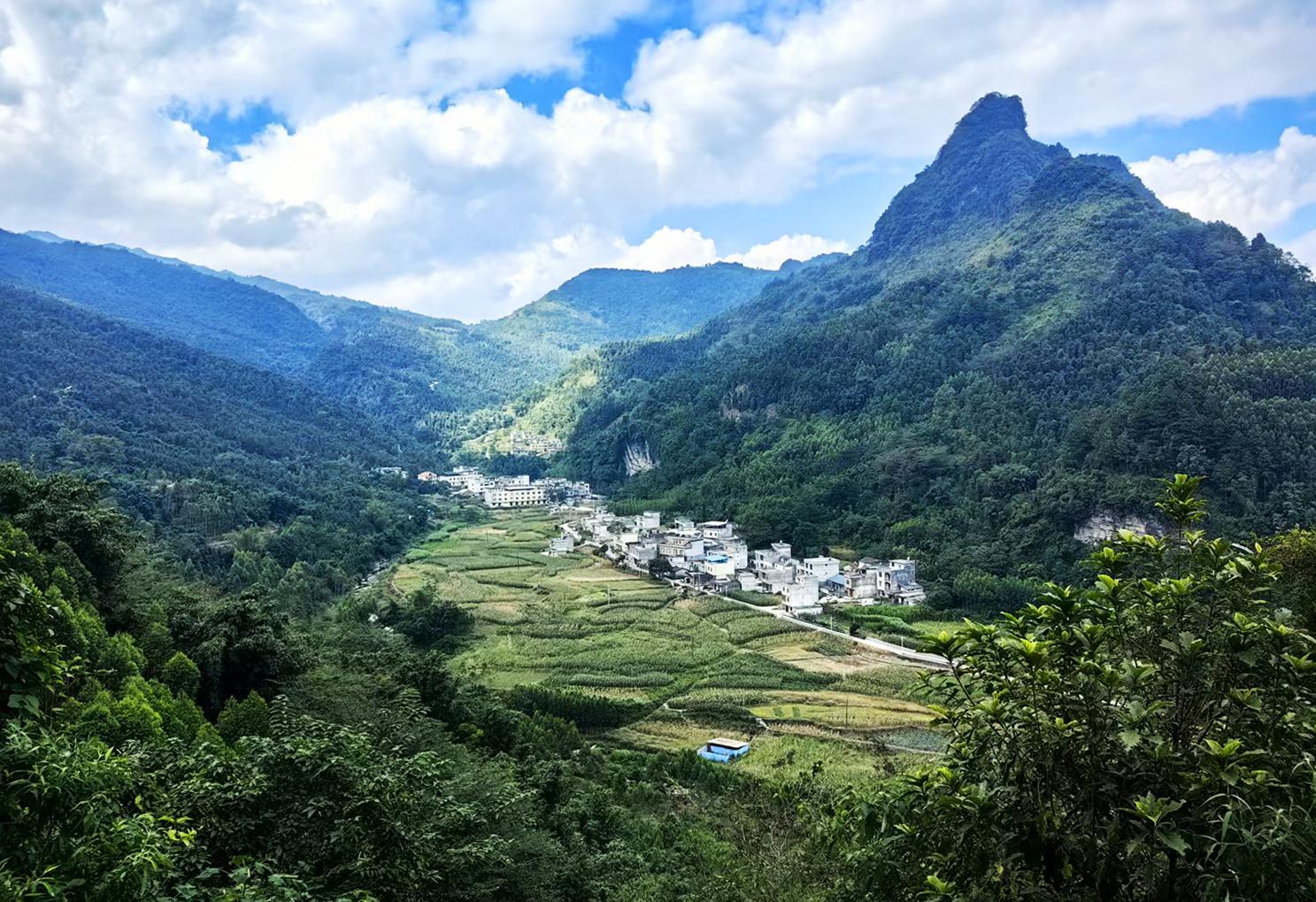 澳门新威斯尼斯人平台