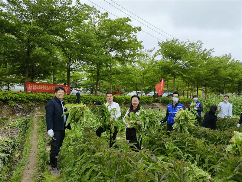 澳门新威斯尼斯人平台