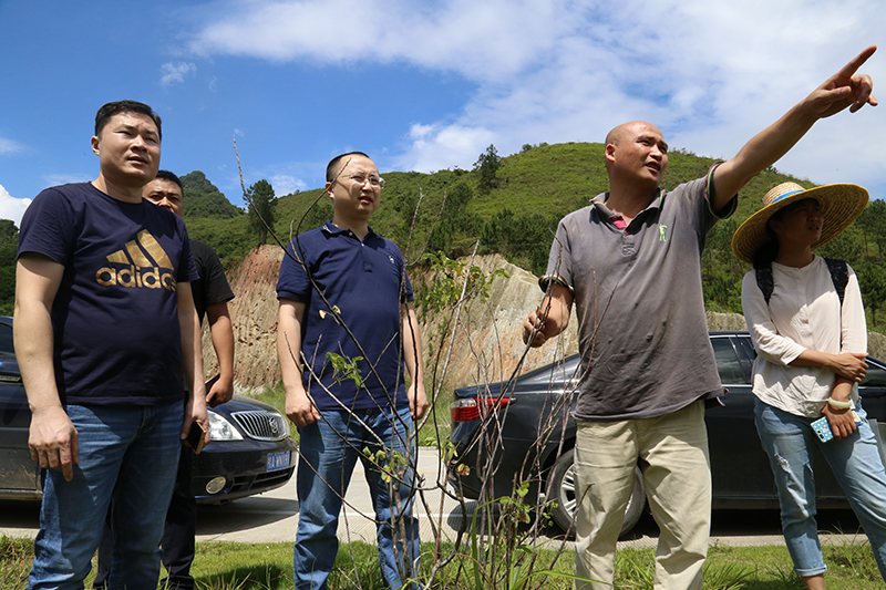 澳门新威斯尼斯人平台