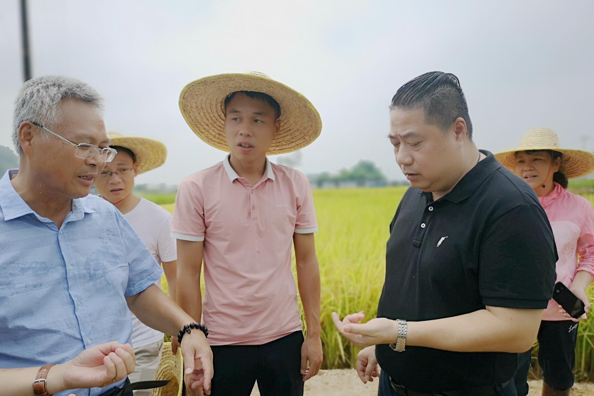 澳门新威斯尼斯人平台