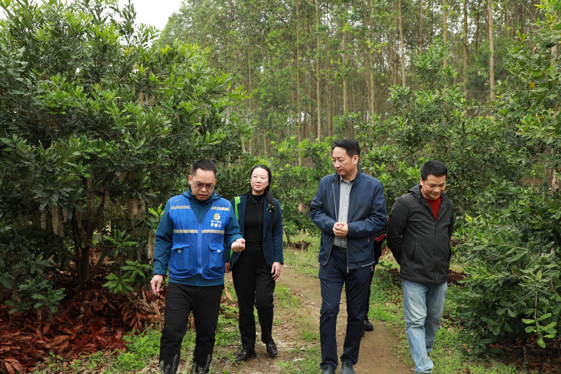 澳门新威斯尼斯人平台